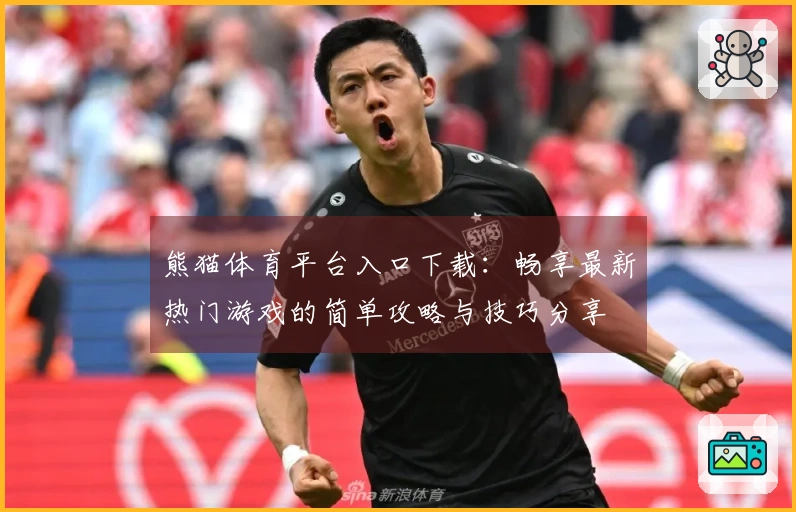 熊猫体育平台入口下载：畅享最新热门游戏的简单攻略与技巧分享