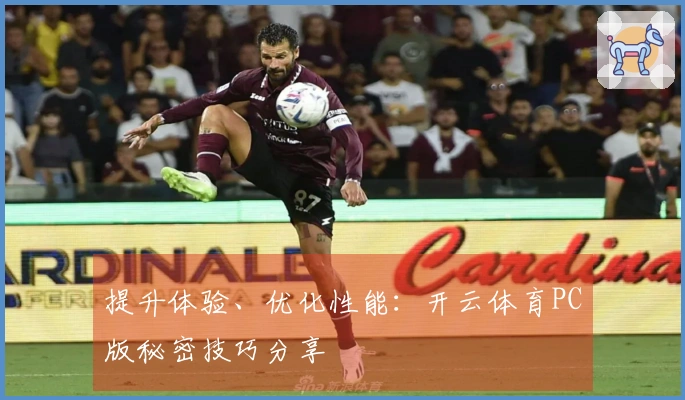 提升体验、优化性能：开云体育PC版秘密技巧分享