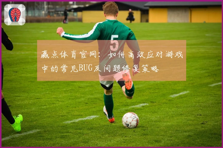 赢点体育官网：如何高效应对游戏中的常见BUG及问题修复策略